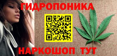 эйфоретик Камышлов